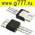 Транзисторы отечественные КТ 855 Б транзистор