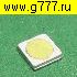 чип светодиод smd LED 3535 9в (-) 2вт для подсветки ЖК телевизоров Холодный белый чип светодиод