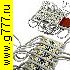 Светодиодный модуль 3528 2LED 12V 0.24W W-W светодиодный модуль