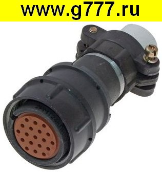 Разъём 2РМ Разъём 2РМТ24КПН19Г1В1В